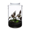 Vented Glass Pot Maru - DOOA