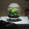 biOrbAIR LED Terrarium - Oase