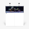 Rimless AIO Aquarium Systems - Waterbox Aquariums