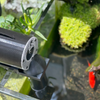 The Plank Automatic Aquarium Feeder - Avast