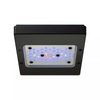 Radion Saltwater G6 Pro LED Light - EcoTech Marine