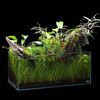 ADA NEW 60-F (10.8 GAL) Rimless Low-Iron Cube Garden Aquarium - Aqua Design Amano