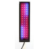 ChaetoMax 2 in 1 Refugium LED - Innovative Marine