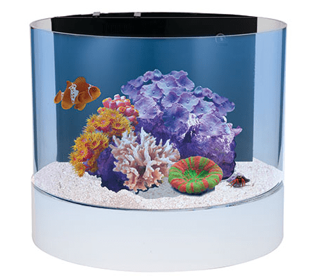 Nuvo Concept Atoll (12 GAL) - Innovative Marine