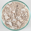 Seaflor Special-Grade Aragonite Reef Sand - CaribSea