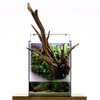 UNS Foresta Integrated Paludarium - Ultum Nature Systems