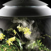 biOrbAIR LED Terrarium - Oase