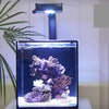 NUVO Fusion Pro 10 All-In-One Aquarium (10 GAL) - Innovative Marine