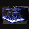 NUVO Fusion Pro 25 Lagoon All-In-One Aquarium (25 GAL) - Innovative Marine