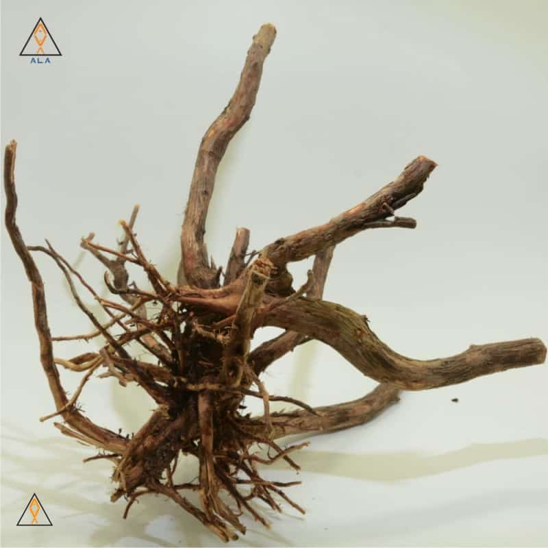 Aquarium Wood Alborz Wood Showpiece #22222 - ALA