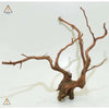 Amazon Aquarium Wood Amazon Wood - ALA