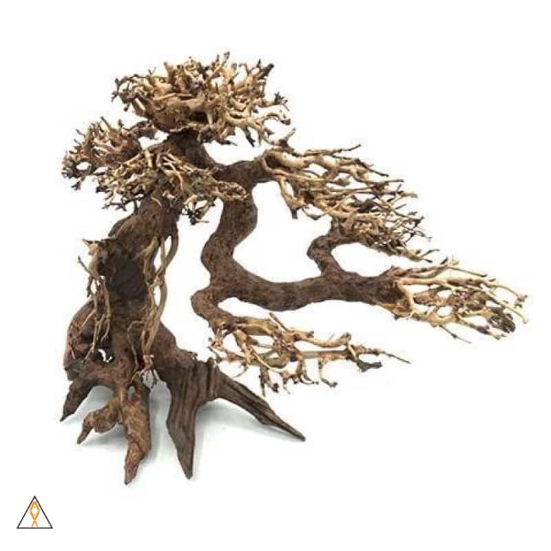 Aquarium Wood Bonsai Wood - ALA