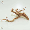 Freshwater Aquarium Driftwood Branched Spider Wood - ALA