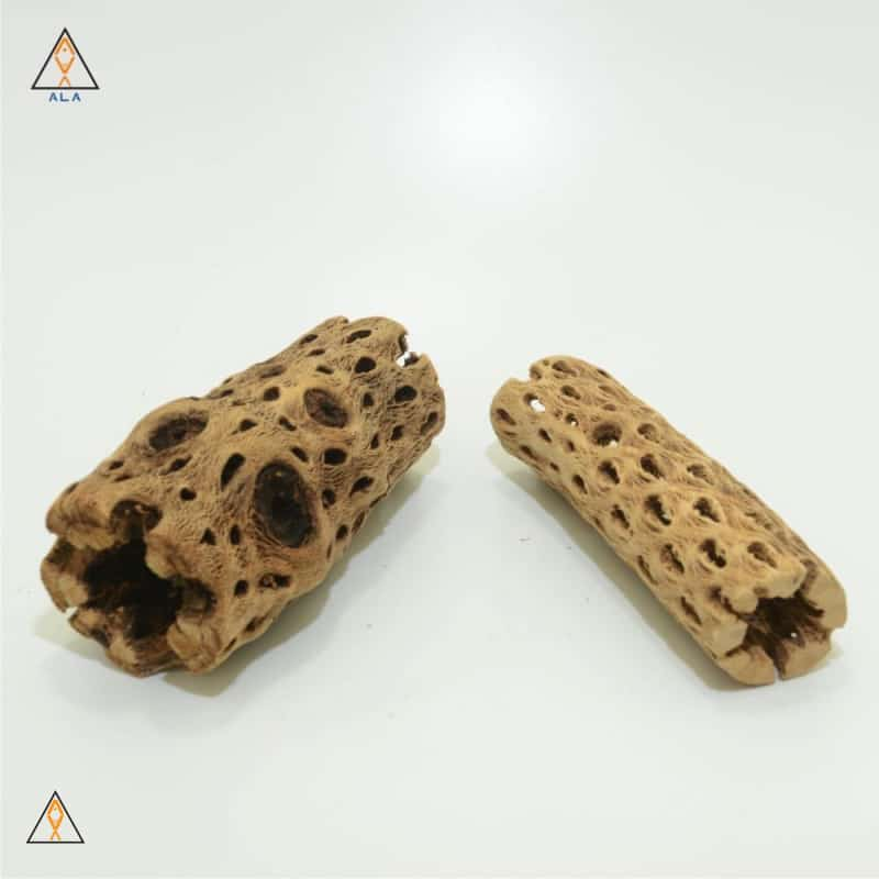 Freshwater Aquarium Wood Cholla Wood - ALA