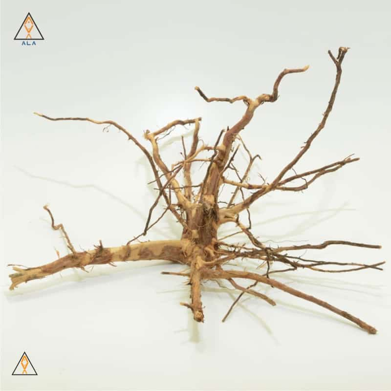 Aquarium Wood Kakado Wood Showpiece #22223 - ALA