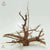 Aquarium Wood Kakado Wood Showpiece #22224 - ALA