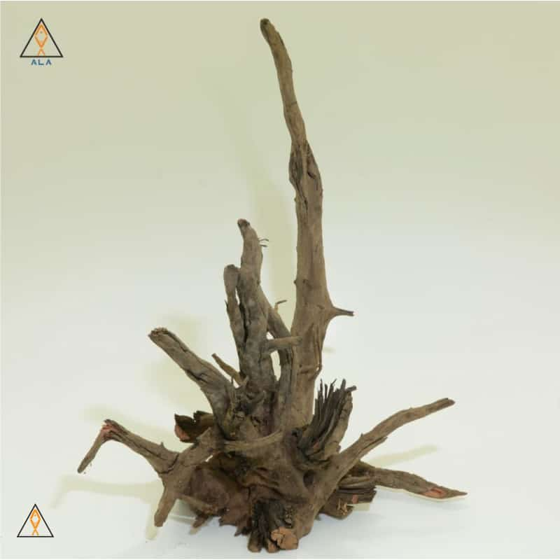 aquarium wood Saba Wood Showpiece #22222 - ALA