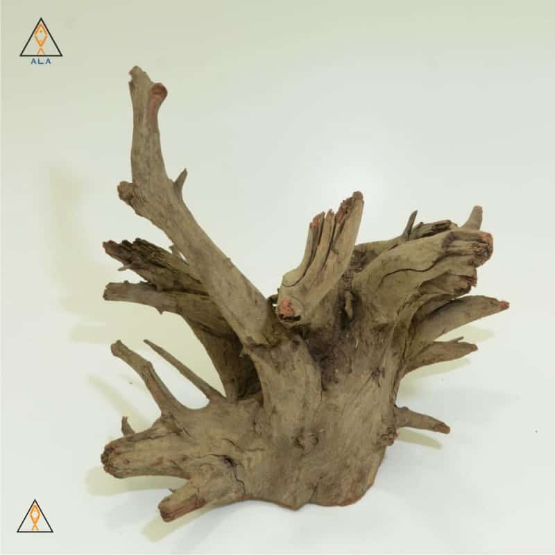 aquarium wood Saba Wood Showpiece #22223 - ALA