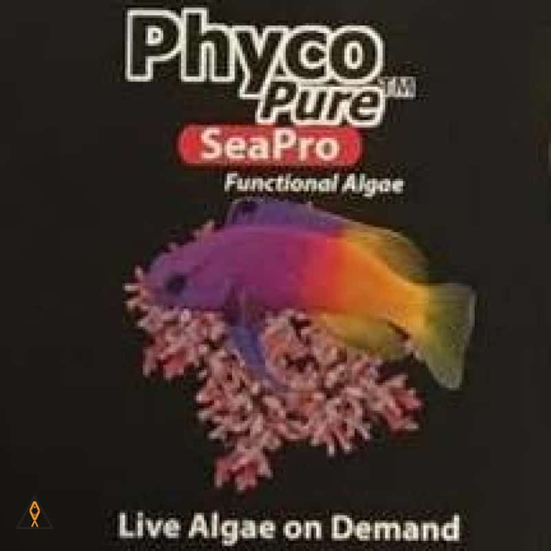 Frozen Aquarium Food 50 mL PhycoPure SeaPro Functional Algae - AlgaGen