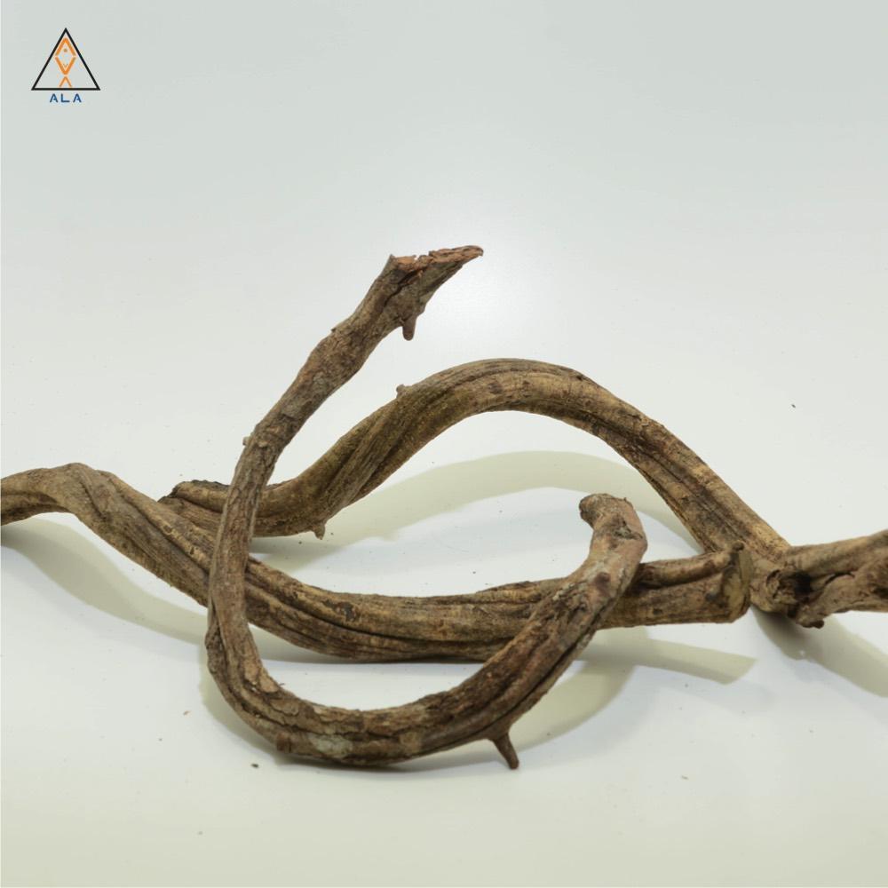 Aquarium Wood Twisty Vine - ALA