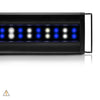 Orbit IC Reef LED System - Current USA