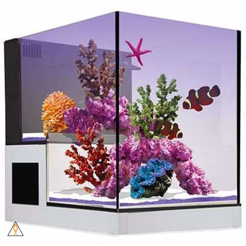 Rimless Concept Aquarium Nuvo Concept ABYSS Peninsula (20 GAL) - Innovative Marine