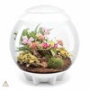 White biOrbAIR LED Terrarium - Oase