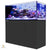 Black REEFER Peninsula 650 Deluxe Aquarium System (140 GAL) - Red Sea