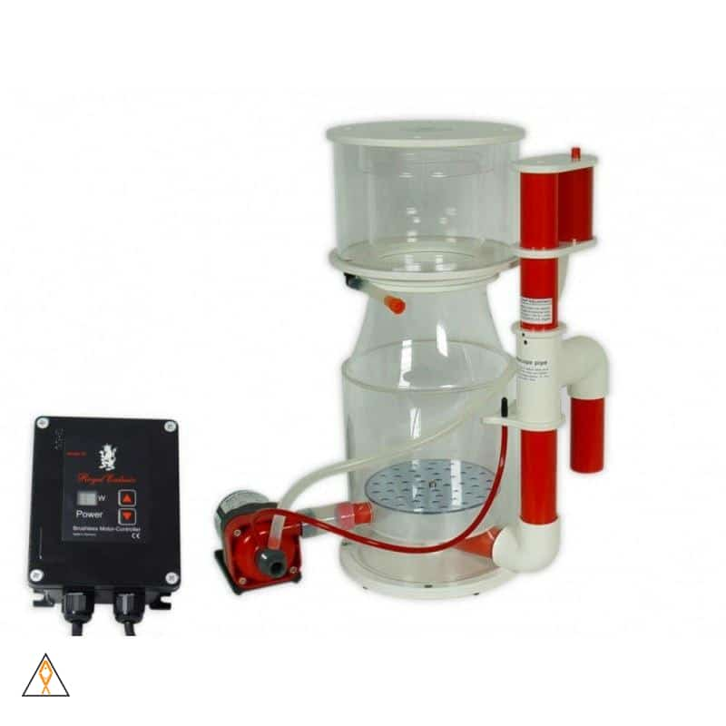 Bubble King 250 Internal Skimmer - Royal Exclusiv | Aqua Lab Aquaria