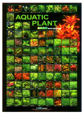 Aquarium Hobbyist Posters - Azoo