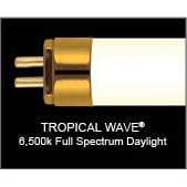 T5 Fluorescent Bulb Tropical Wave HO T5 Florescent Replacement Lamp 21"  - Wave Point Technology