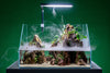 UNS 45E Rimless Paludarium (4 GAL) - Ultum Nature Systems